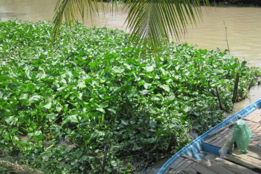 querotools_biogas en vietnam_leister twinny